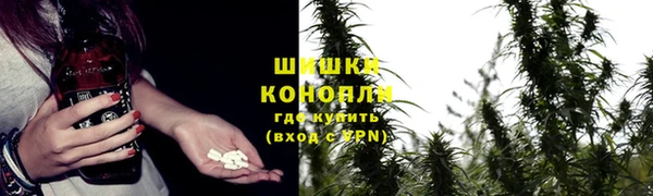 а пвп мука Абаза