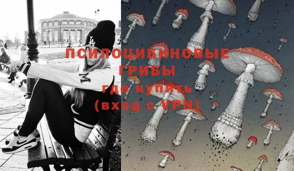 стафф Абинск