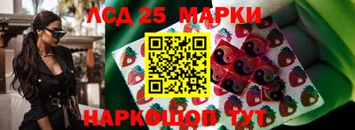 индика Анжеро-Судженск