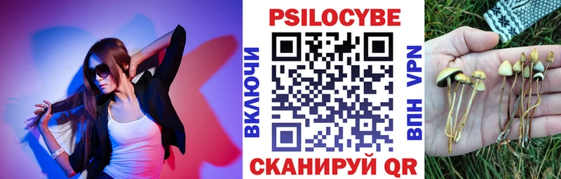 где можно купить   Барнаул  Галлюциногенные грибы MAGIC MUSHROOMS 