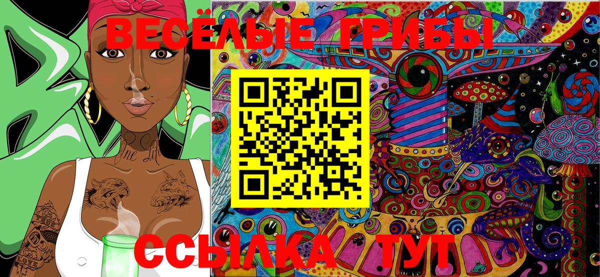 Псилоцибиновые грибы Cubensis  Вход с VPN  Барнаул  Галлюциногенные грибы Magic Shrooms 