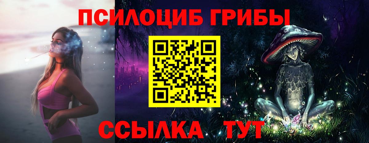 Галлюциногенные грибы Cubensis Барнаул